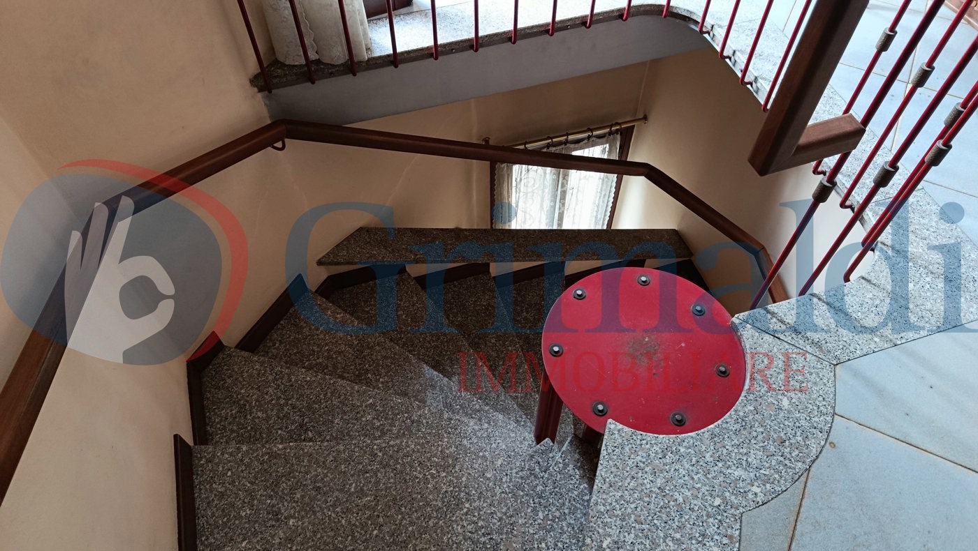 dettaglio