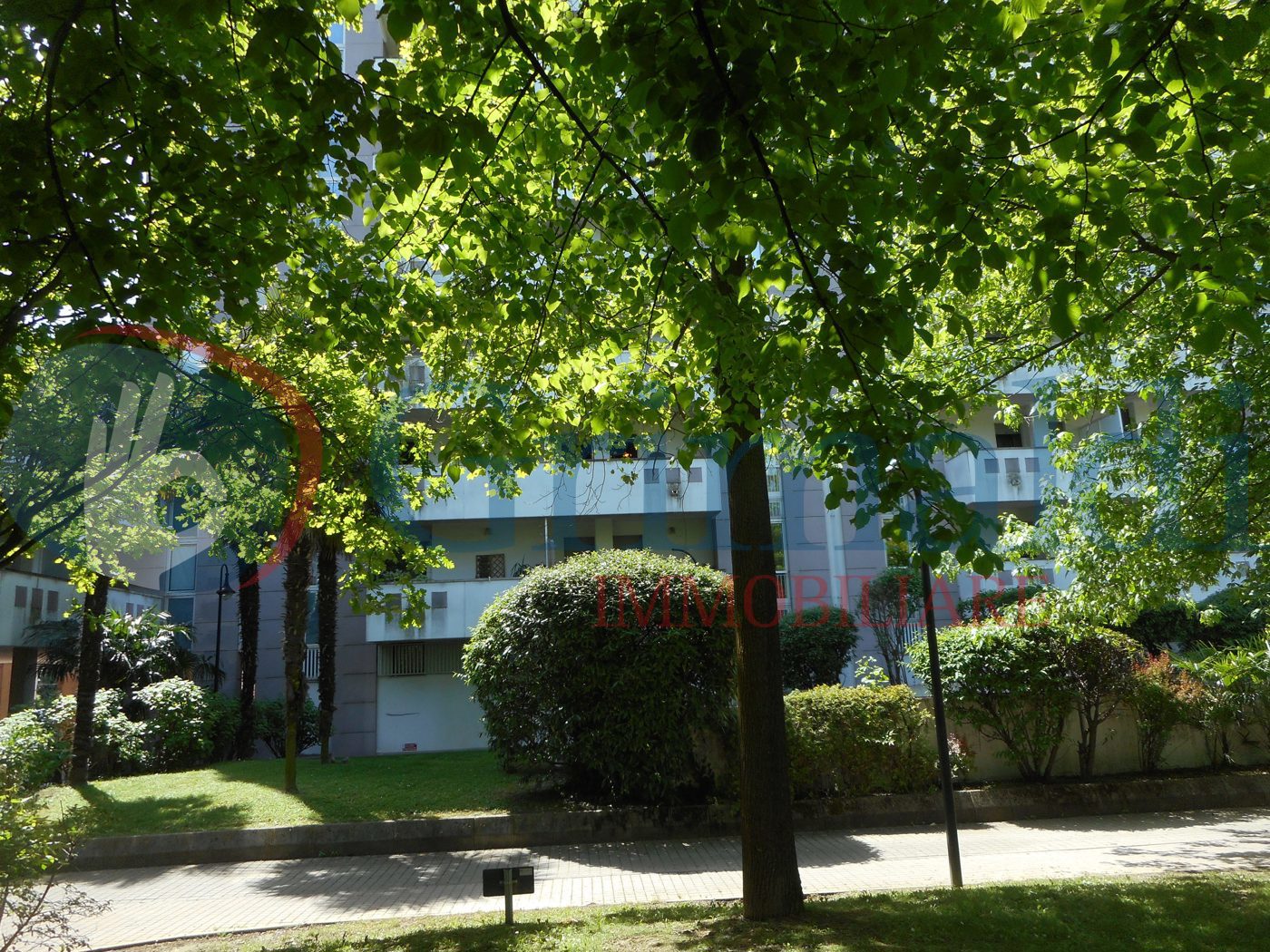 dettaglio